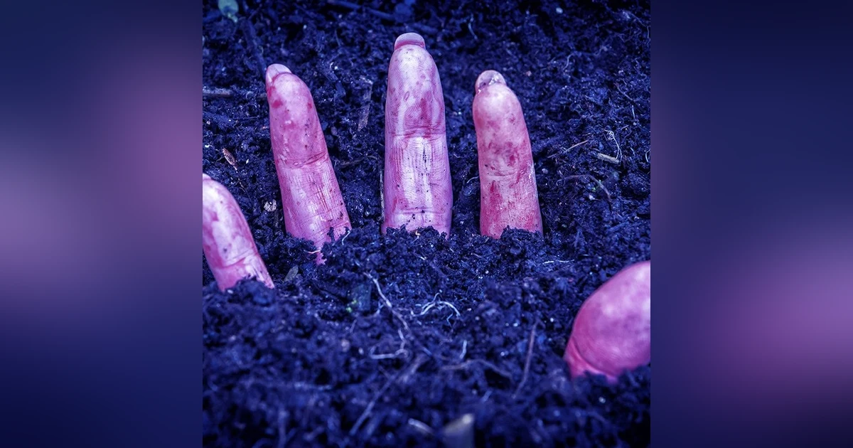 The Dead Thing Under the House - Sometimes Death is Only the Beginning!