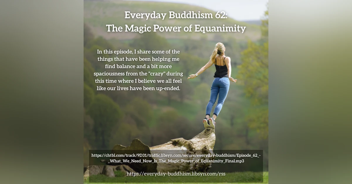 Everyday Buddhism 62 - The Magic Power of Equanimity