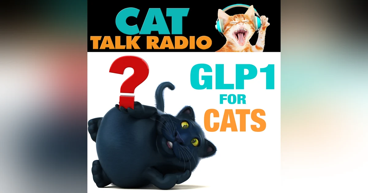 Ozempurrs for Cats? The Truth About GLP-1 Drugs and Feline Weight Loss