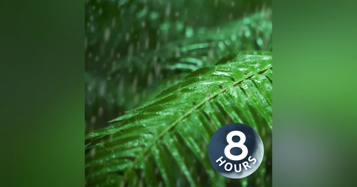 Relax, Sleep or Focus with Rain Noise 8 Hours