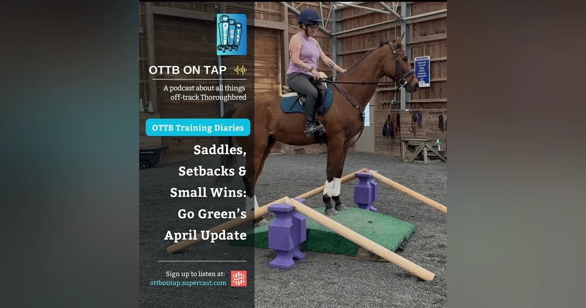 🎙 Preview: OTTB Training Diaries: Saddles, Setbacks & Small Wins – Go Green’s April Update