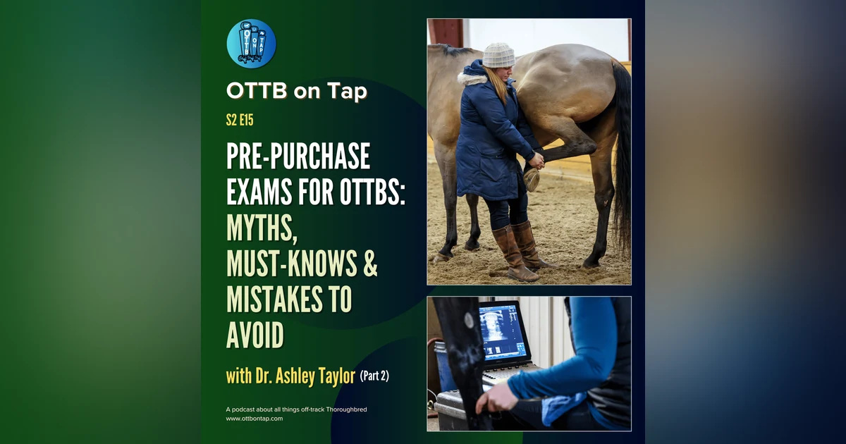 S2 E15: Pre-Purchase Exams for OTTBs: Myths, Must-Knows & Mistakes to Avoid with Dr. Ashley Taylor (Part 2)
