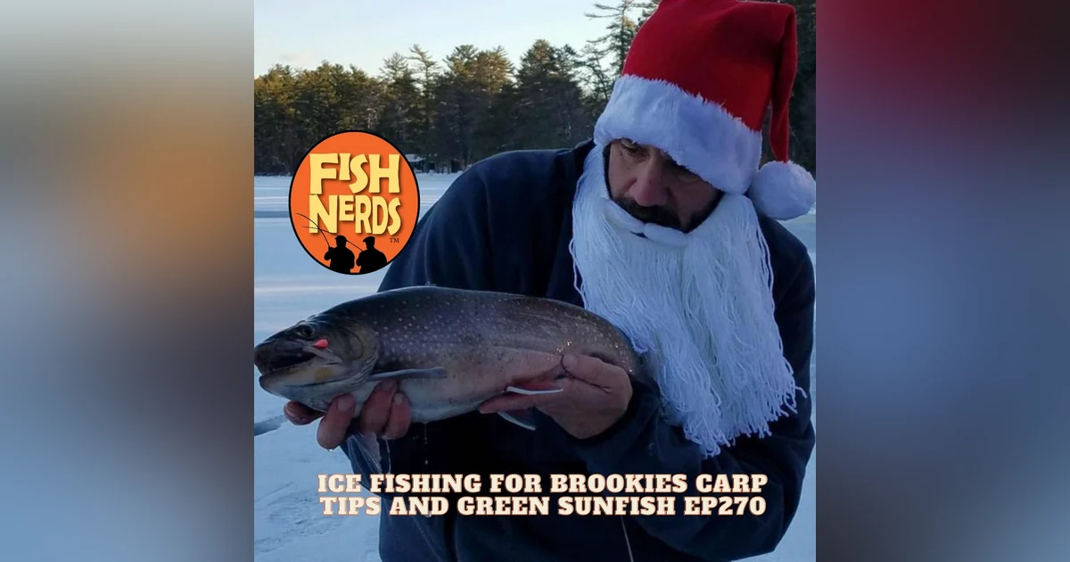 Ice Fishing for Brookies Carp Tips and Green Sunfish EP270