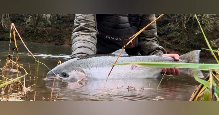 image for Hooked on Steelhead: Matt Thornton's Obsession with the Fish of a Thousand Casts