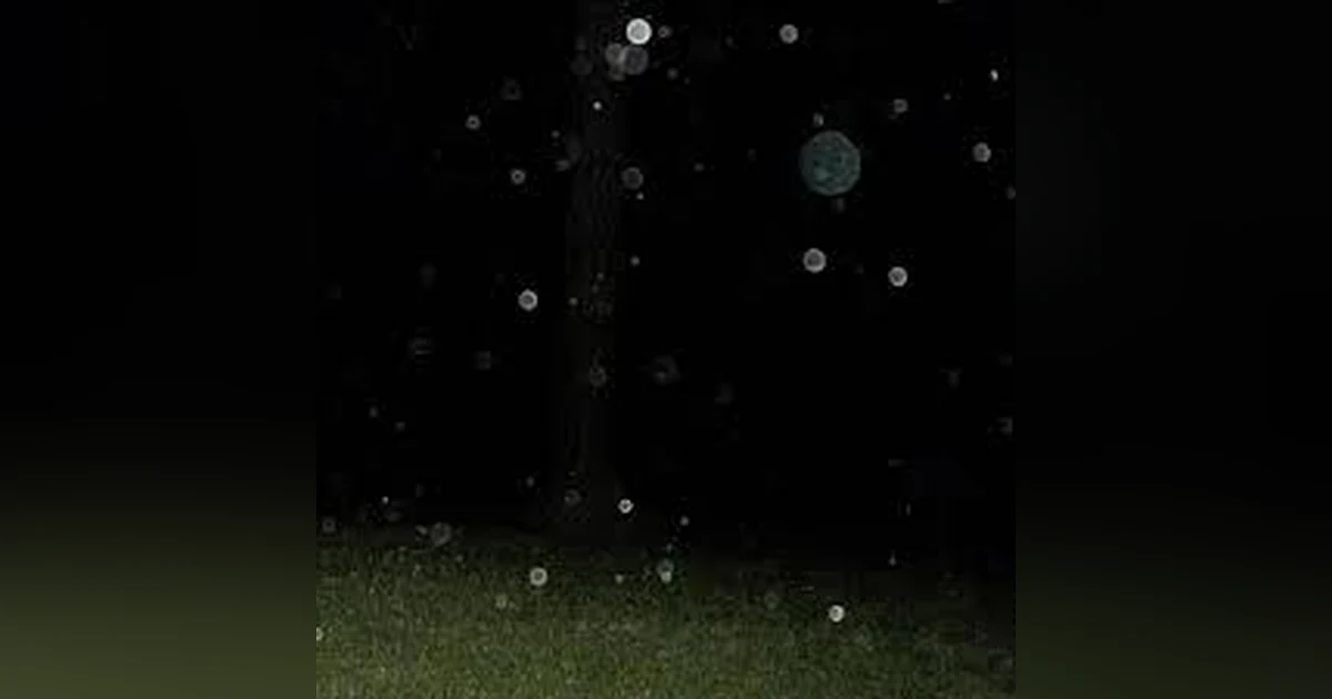 BEST OF (#22 of 465) ORBS:: A 'SPIRIT' ED DEBATE & ONE OF NATURE'S GREATEST UNSOLVED MYSTERIES