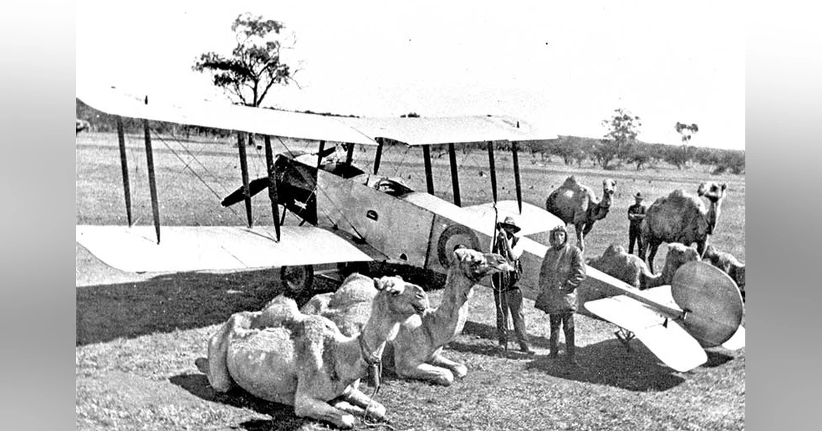 ‘I made all the rules, and I followed every one of them’. Some ’naughty bits’ on Australian airline pioneer Sir Norman Brearley.