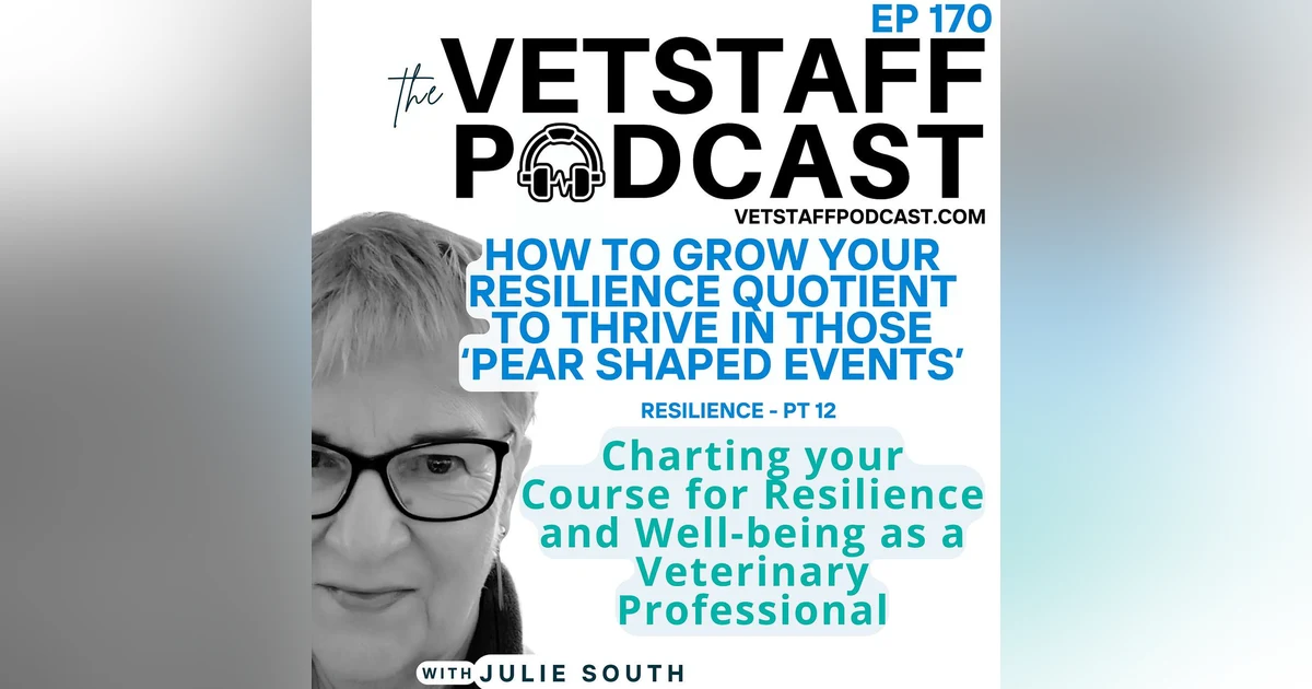 Charting your Course for Resilience and Well-being as a Veterinary Professional