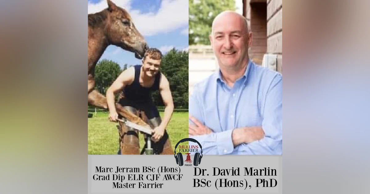 Marc Jerram BSc (Hons) Grad Dip ELR CJF AWCF Master Farrier and Dr. David Marlin BSc (Hons), PhD