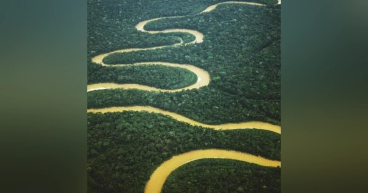 Historias de Miedo Agosto 24 2020 LOS GIGANTES DEL AMAZONAS