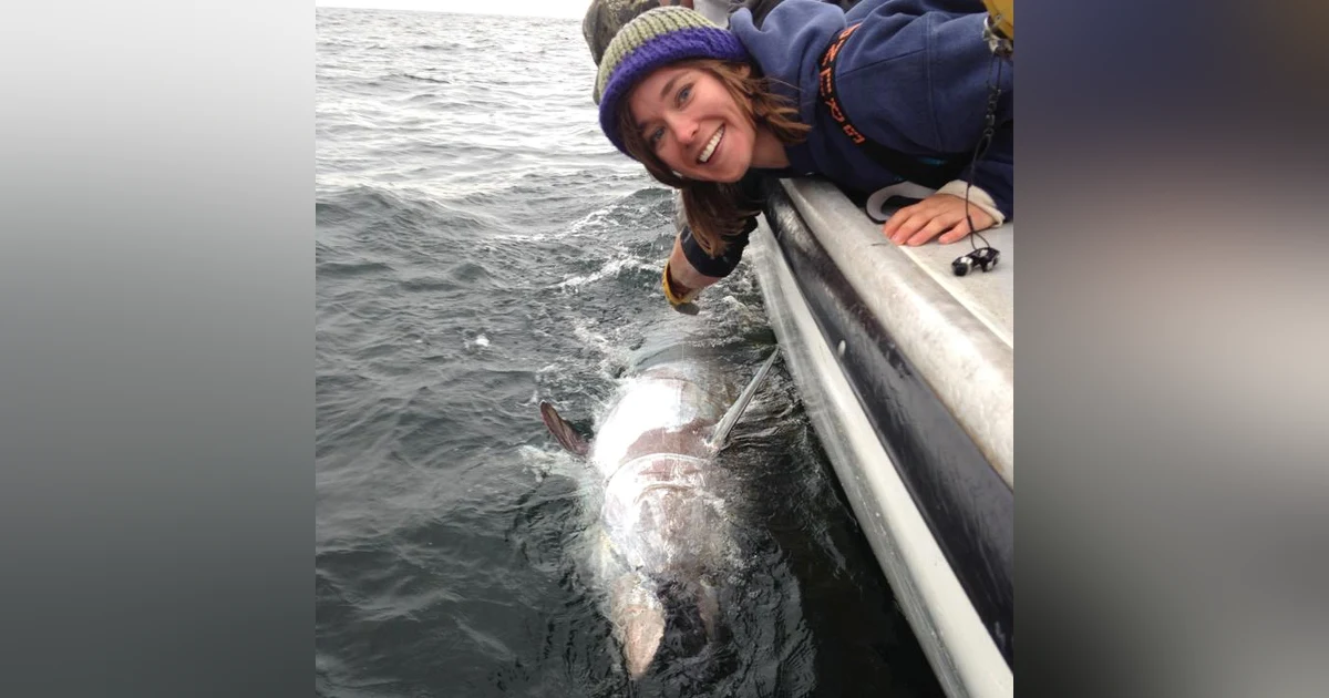 Megan Witton, Staff Scientist, Atlantic White Shark Conservancy; Brian discusses gold and silver