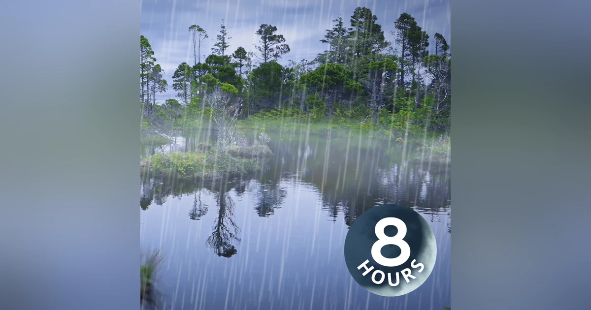 Rain Falling Sounds on Enchanted Pond 8 Hours I Relaxing Rainstorm White Noise for Sleep
