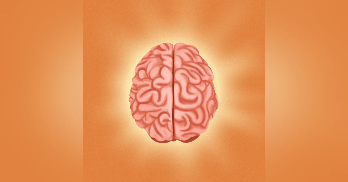 Brain Rules: 12 Principles for Surviving and Thriving at Work, Home, and School by John Medina