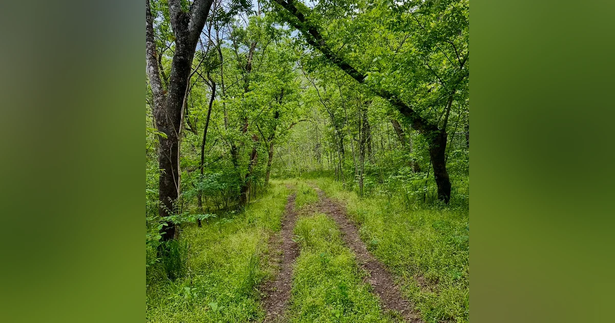 Surviving Appalachia with Ed Saunders pt 2