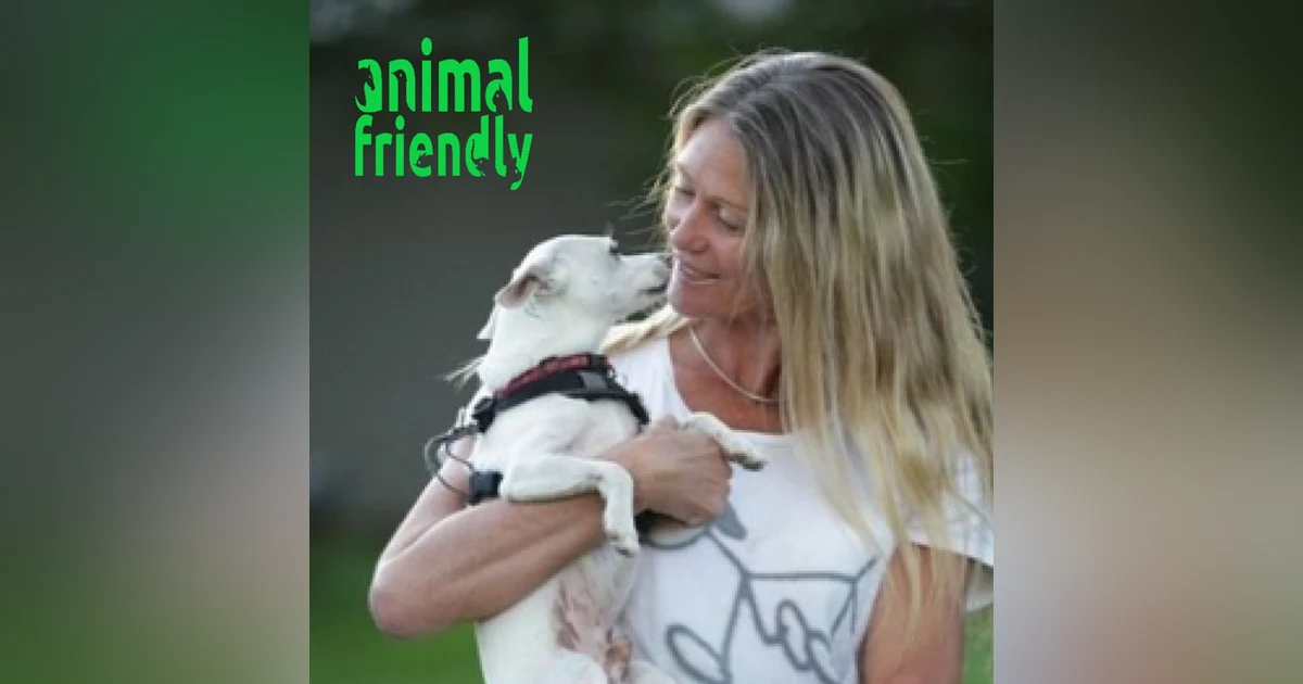 28. A Deeper Understanding of Dogs