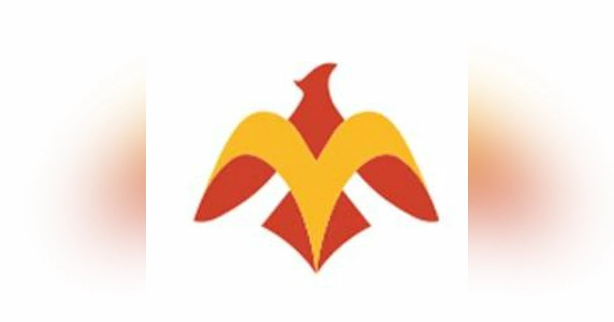 Episode *1 - Phoenix Concussion Recovery (Intro/Overview)