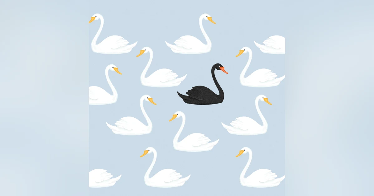 The Black Swan Full Book Introduction