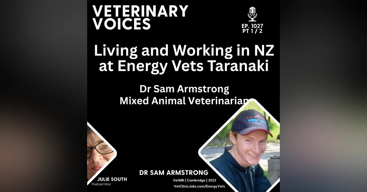 Living and Working at Energy Vets Taranaki with Mixed Animal Veterinarian - Dr Sam Armstrong - pt 1/2 - 1027
