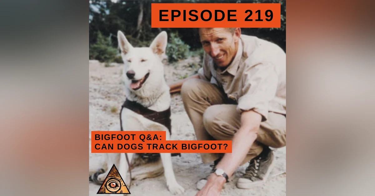 Unleashing the Secrets of Bigfoot Tracking: Can Dogs Help? A Bigfoot Q&A Session