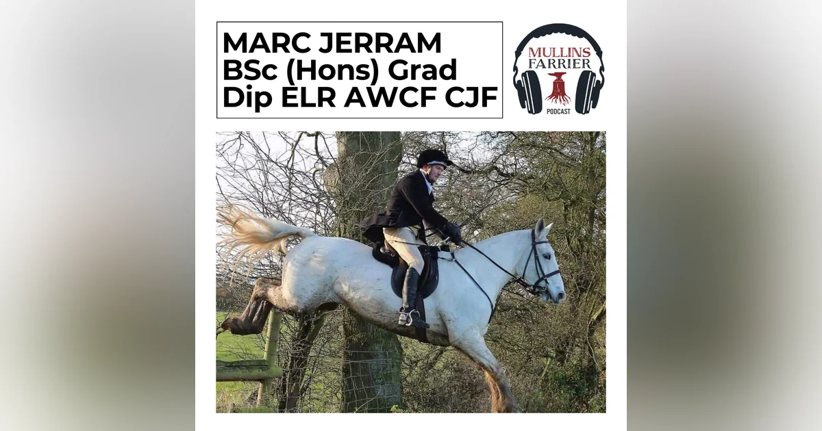 Marc Jerram BSc(Hons) Grad Dip ELR AWCF CJF