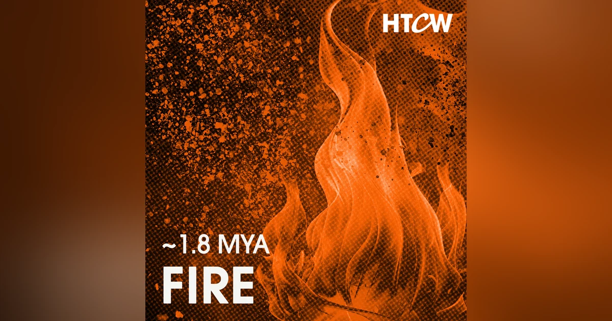 [~1.8 Mya] - Fire: The Innovation that Forged Humanity and Sparked World Domination