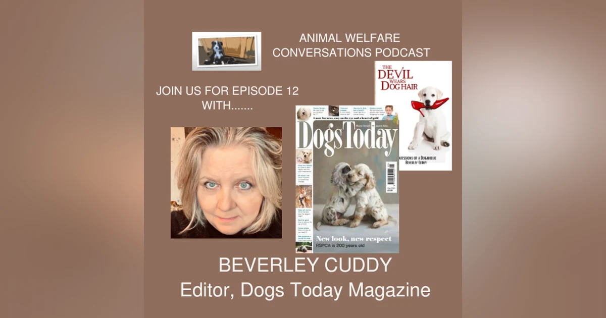 Episode 12 - Beverley Cuddy, Editor, Dogs Today Magazine