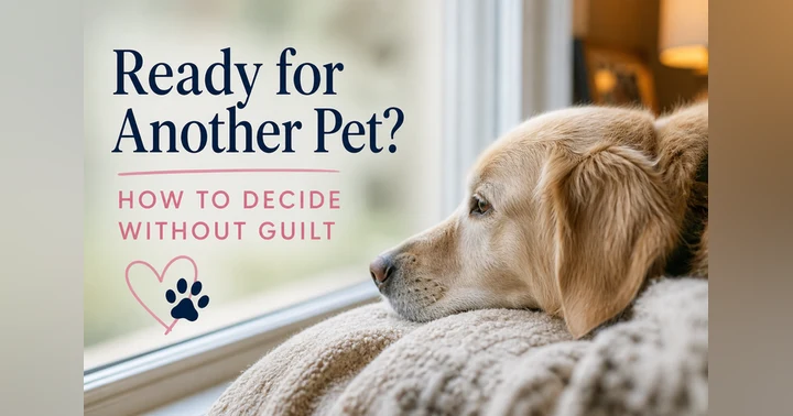 image for Ready for Another Pet? How to Decide Without Guilt