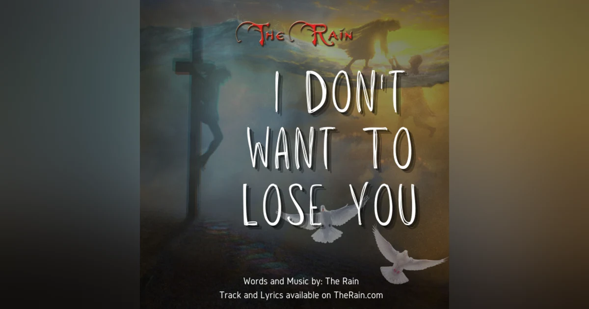 I Don't Want To Lose You