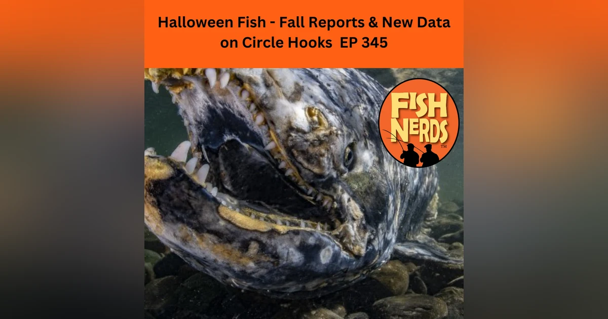 Halloween Fish - Fall Reports & New Data on Circle Hooks  EP 345