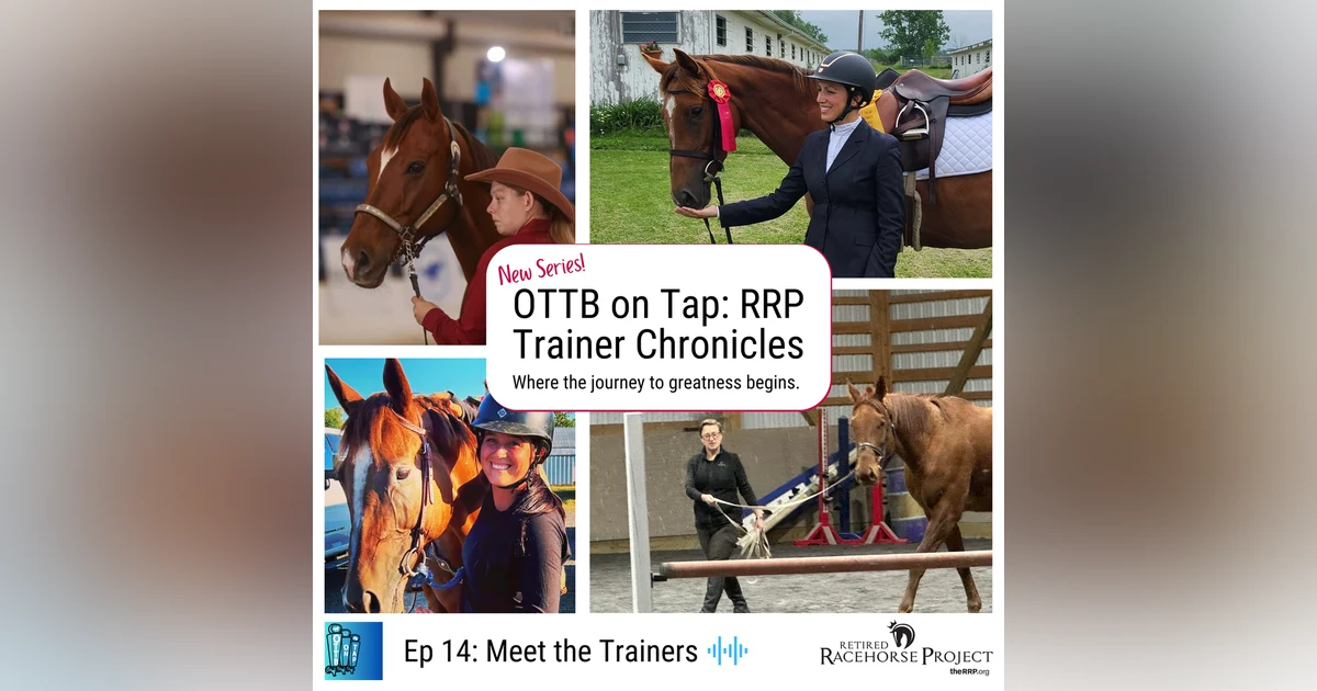 Ep 14: RRP Trainer Chronicles: Where the Journey to Greatness Begins