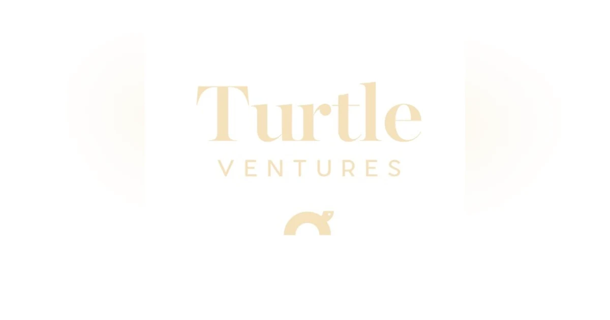 Turtle Ventures