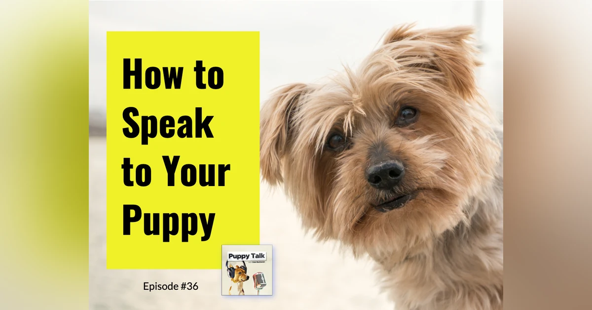 How to Speak to Your Puppy