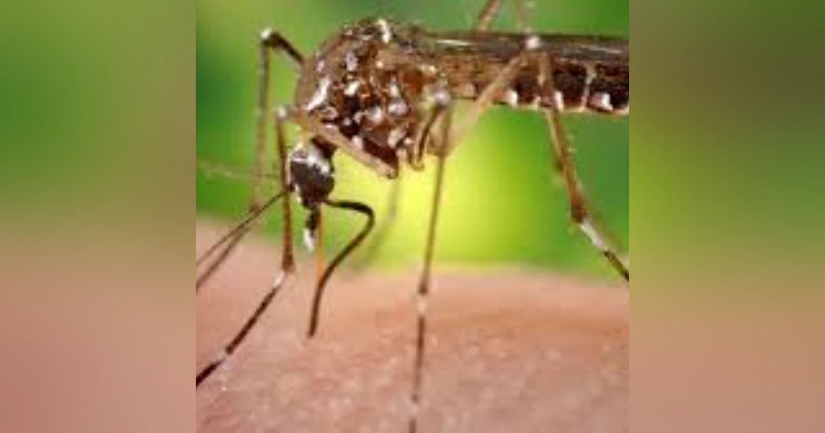 S7 E3: 100 Seconds to Midnight: Global Change and Emerging Disease