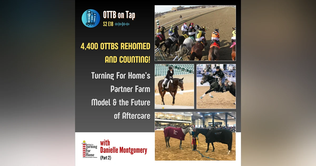 S2 E18: 4,400 OTTBs Rehomed and Counting! Turning For Home’s Partner Farm Model & the Future of Aftercare