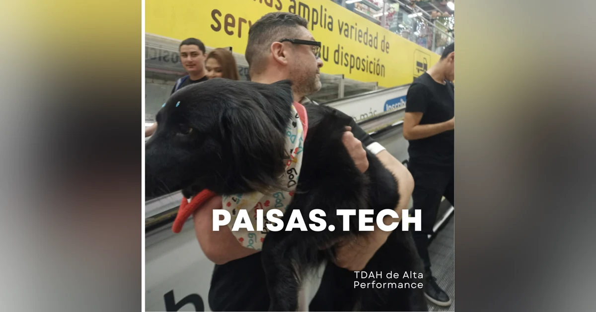 TDAH de Alta Performance