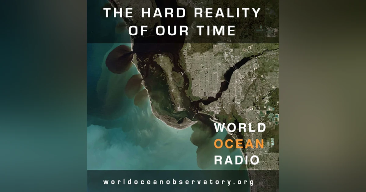The Hard Reality of Our Time