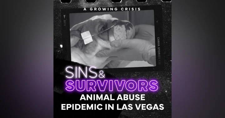 image for The Animal Abuse Epidemic in Las Vegas