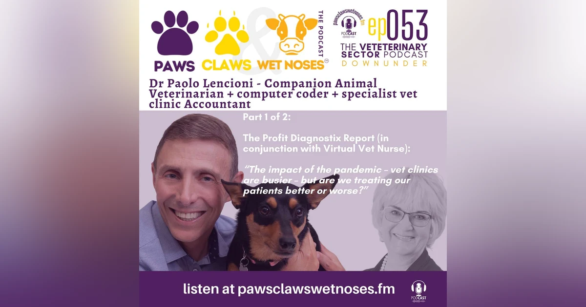 Vet Clinics and the pandemic - are patients being treated better or worse...? ep 053