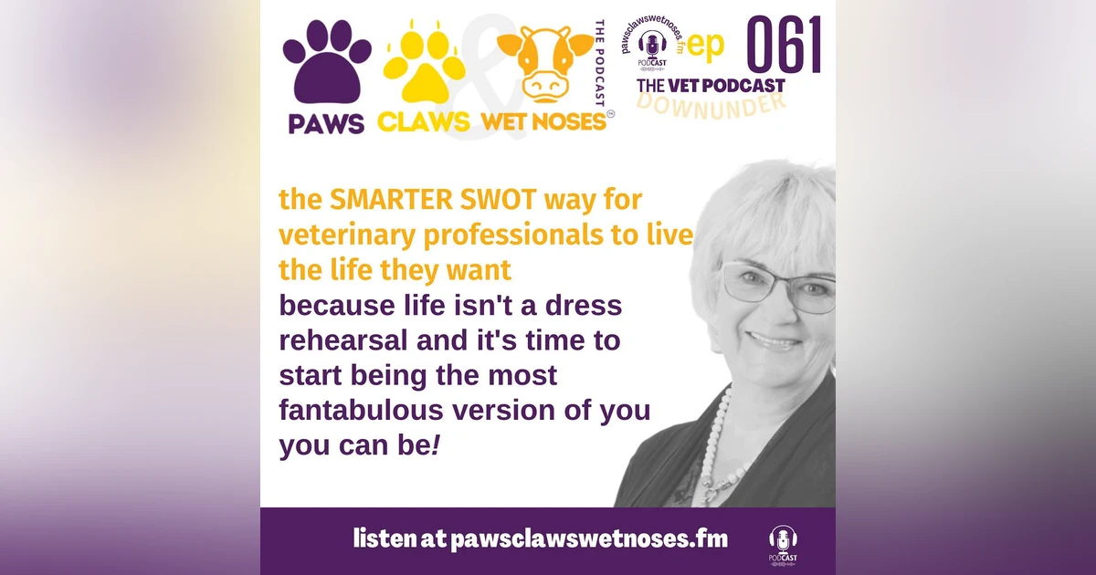 the SMARTER SWOT way for veterinary professionals to live the life they want
