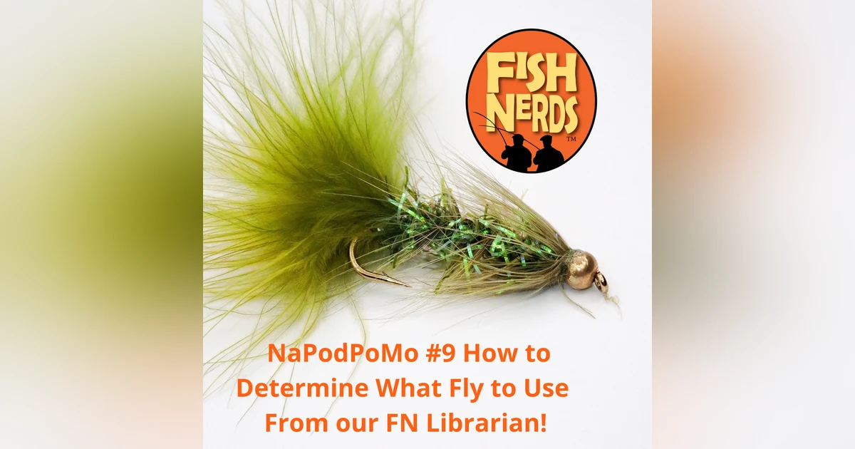 NaPodPoMo #J9 First Fly to Use