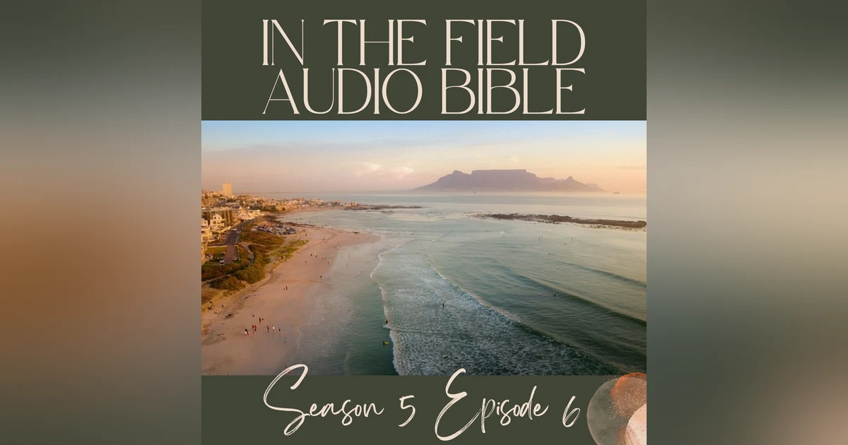 Anchored in Faith: Apostle Peter's Path to Divine Promises
