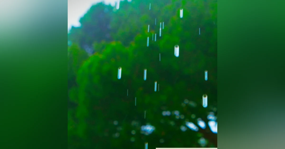 12 Hours Relaxing Summer Rain Sounds for Sleep & Stress Relief