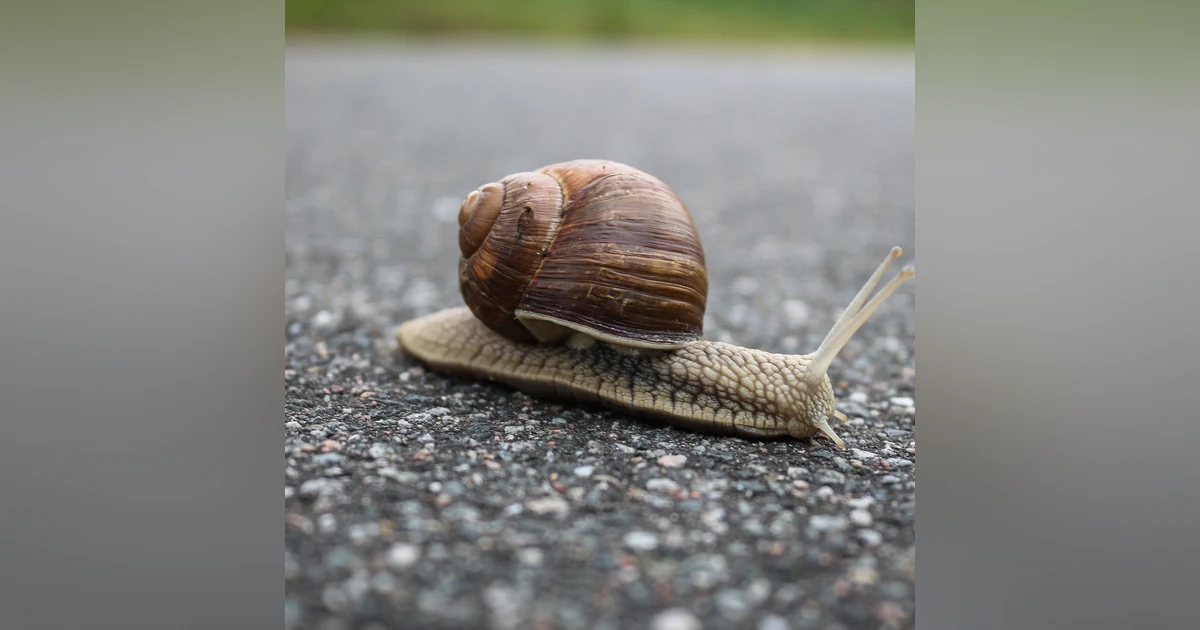 Seven reasons why your restore may slower than your backup