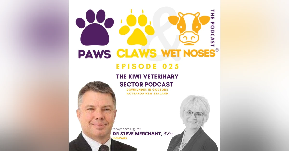 025 - Dr Steve Merchant - IndieVets Q&A