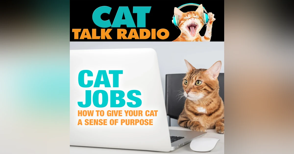 Cat Jobs: How to Give Your Cat a Sense of Purpose