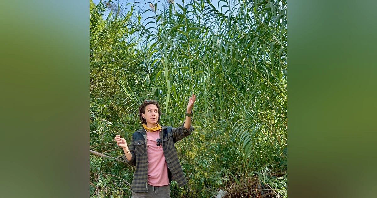 The LA River with Kat Superfisky