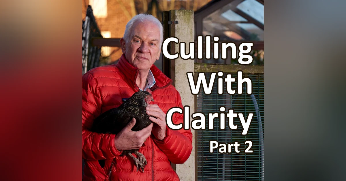 Culling With Clarity Part 2