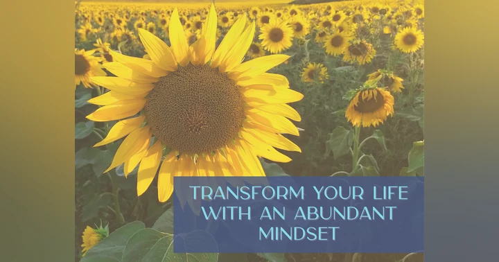 image for The Abundance Mindset: How It Can Transform Your Life