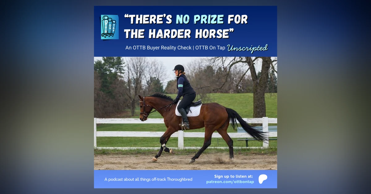 S3 E2: “There’s No Prize for the Harder Horse” An OTTB Buyer Reality Check | OTTB on Tap Unscripted Vol. 1.