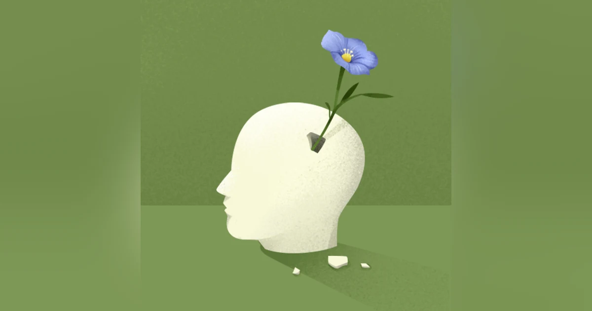 The Brain That Changes Itself by Norman Doidge