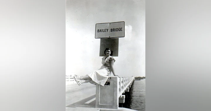 image for Bailey Bridge: Crossings and Connections